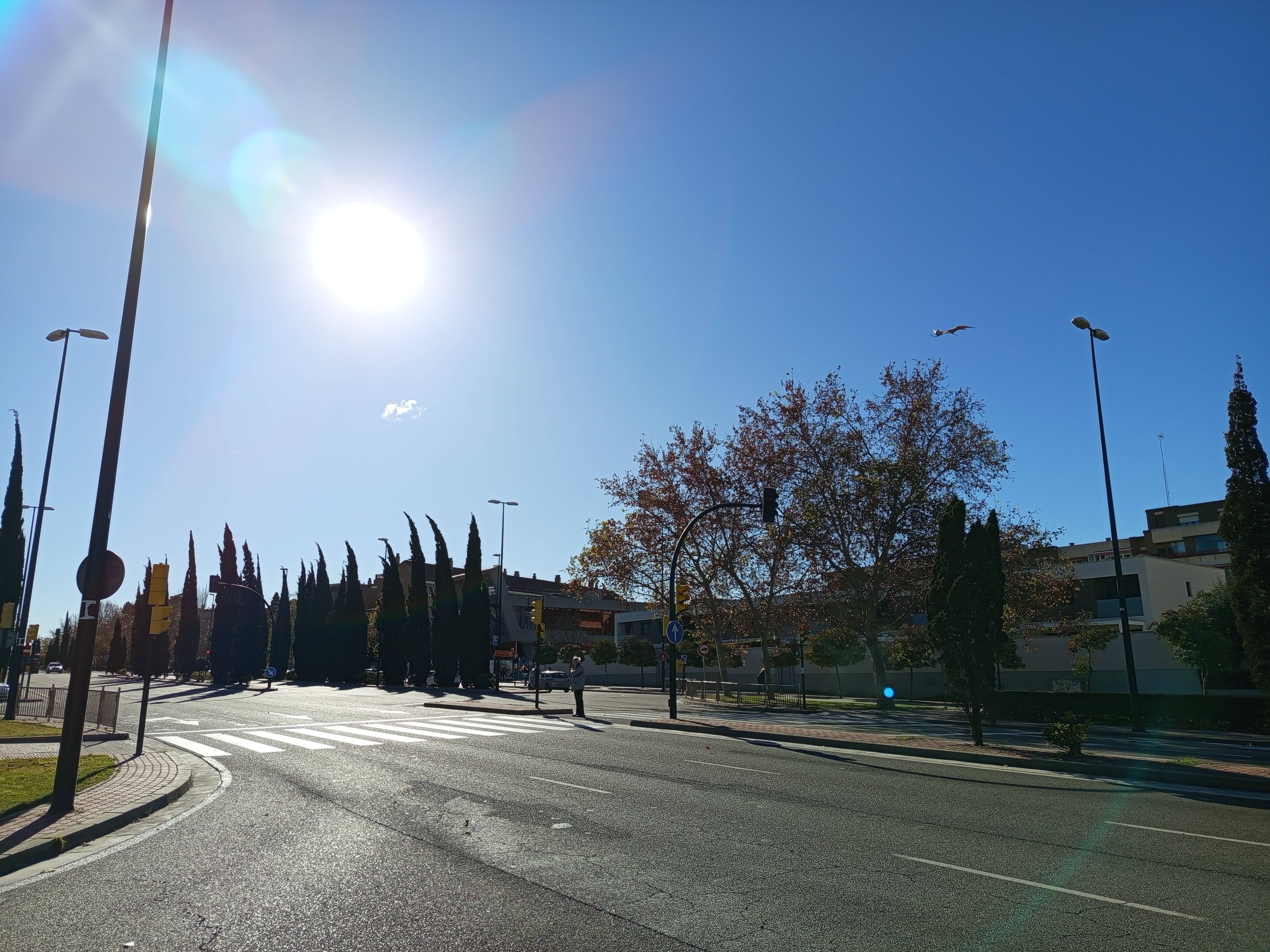 Zaragoza, GRUPO ALFÉREZ ROJAS, 3 Habitaciones Habitaciones, 0 ,1 BañoBathrooms,Piso,En Venta,0,1071